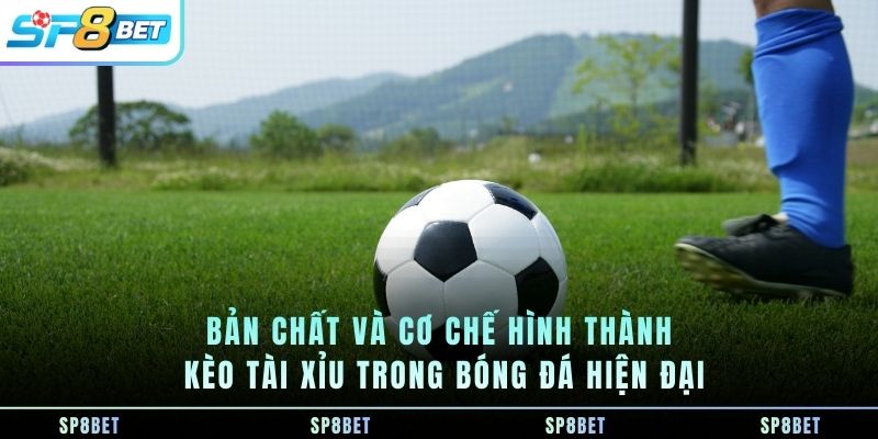 ban-chat-va-co-che-hinh-thanh-keo-tai-xiu-trong-bong-da-hien-dai
