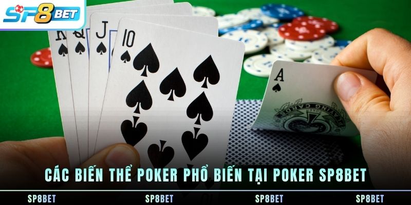 cac-bien-the-poker-pho-bien-tai-poker-sp8bet