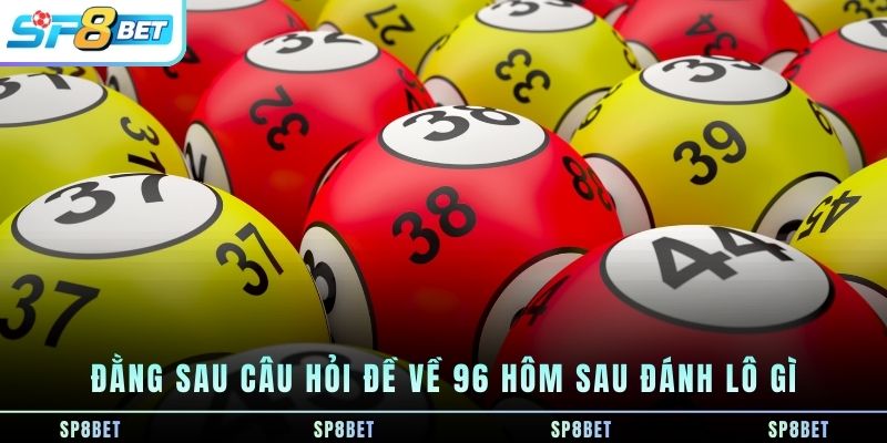 dang-sau-cau-hoi-de-ve-96-hom-sau-danh-lo-gi