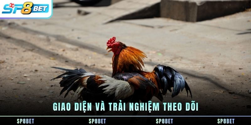giao-dien-va-trai-nghiem-theo-doi