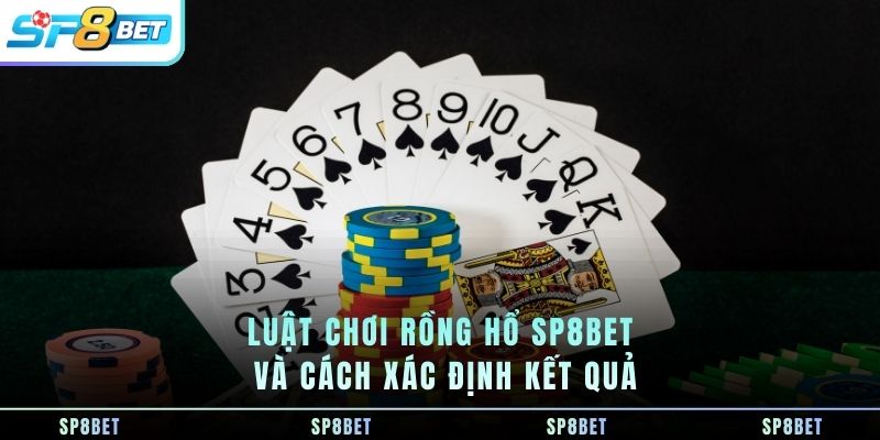 luat-choi-rong-ho-sp8bet-va-cach-xac-dinh-ket-qua