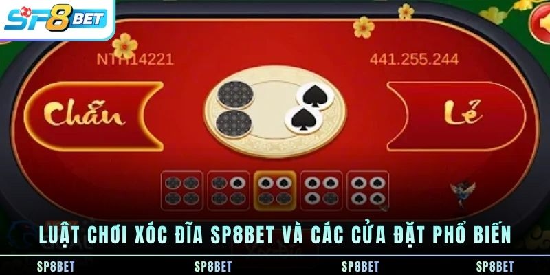 luat-choi-xoc-dia-sp8bet-va-cac-cua-dat-pho-bien