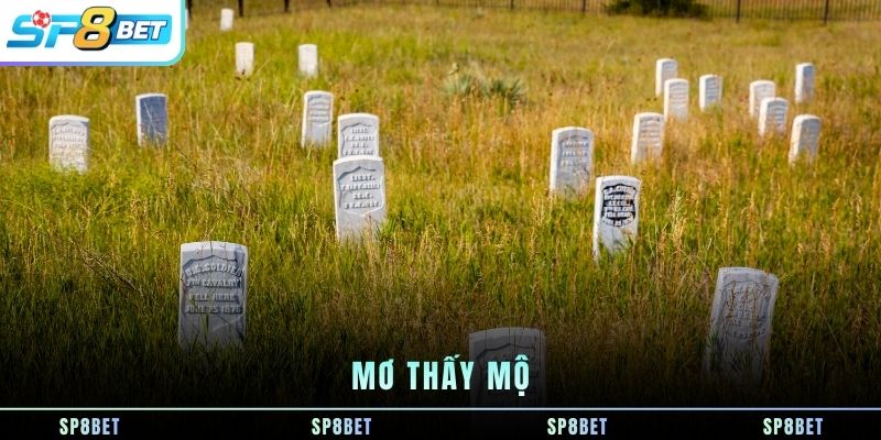 mo-thay-mo
