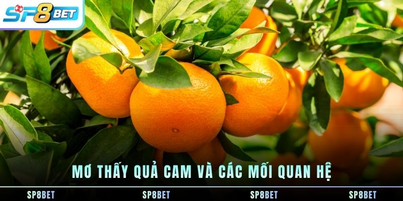 mo-thay-qua-cam-va-cac-moi-quan-he