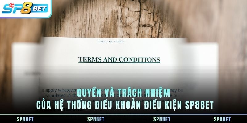 quyen-va-trach-nhiem-cua-he-thong-dieu-khoan-dieu-kien-sp8bet
