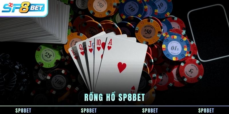 rong-ho-sp8bet