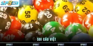 soi-cau-viet