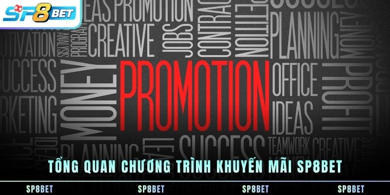 tong-quan-chuong-trinh-khuyen-mai-sp8bet