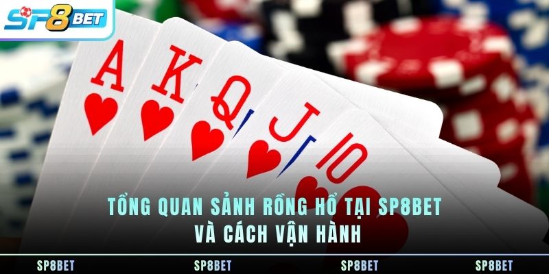 tong-quan-sanh-rong-ho-tai-sp8bet-va-cach-van-hanh