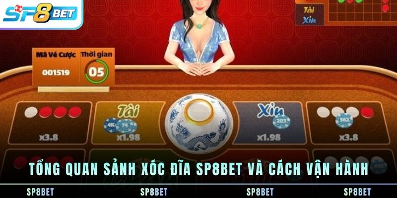 tong-quan-sanh-xoc-dia-sp8bet-va-cach-van-hanh