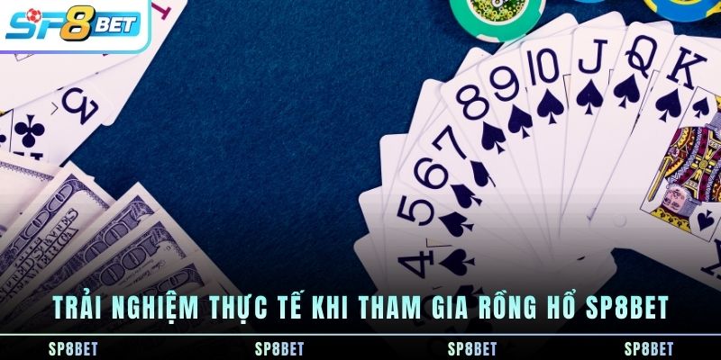 trai-nghiem-thuc-te-khi-tham-gia-rong-ho-sp8bet