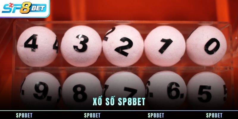 xo-so-sp8bet